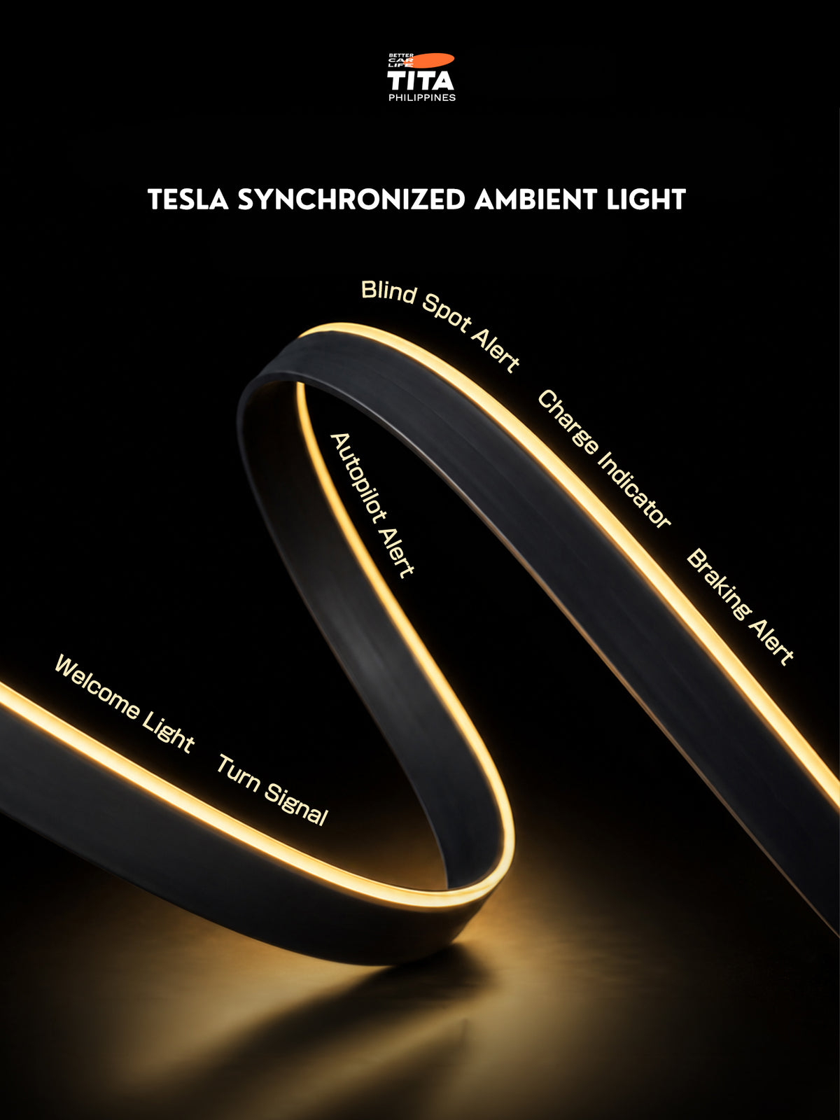 Tesla Synchronized Ambient Light Strip for Model 3 / Y / YL