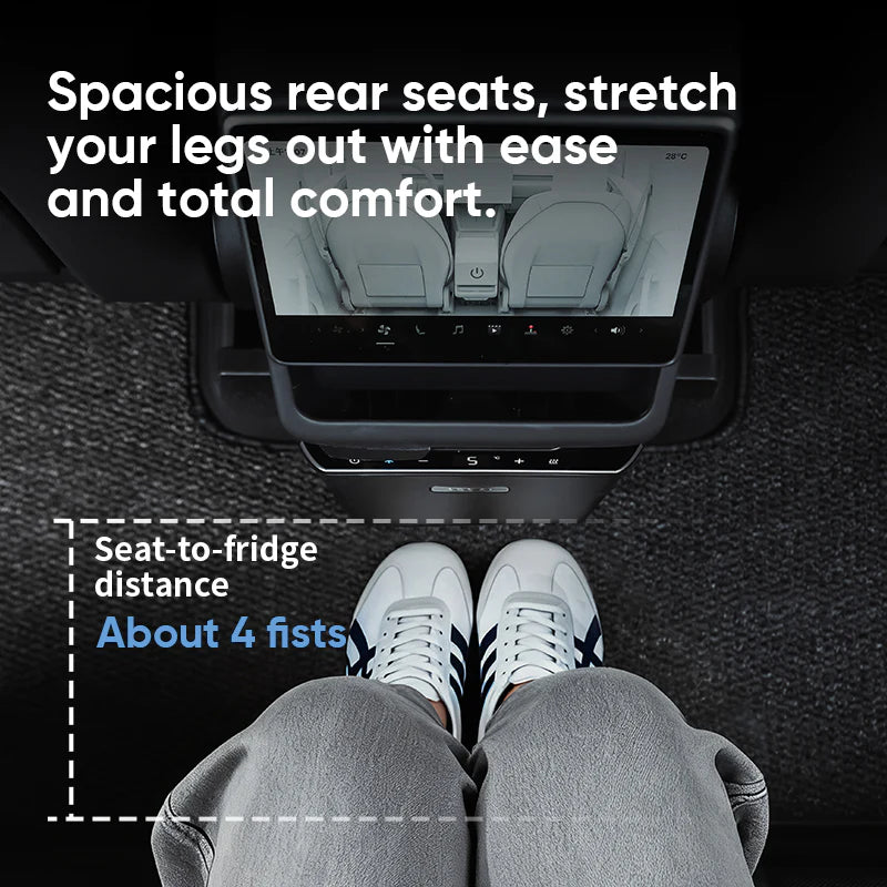 TEMAI TM-Y03 | 3L Rear Seat Fridge for Tesla Model Y