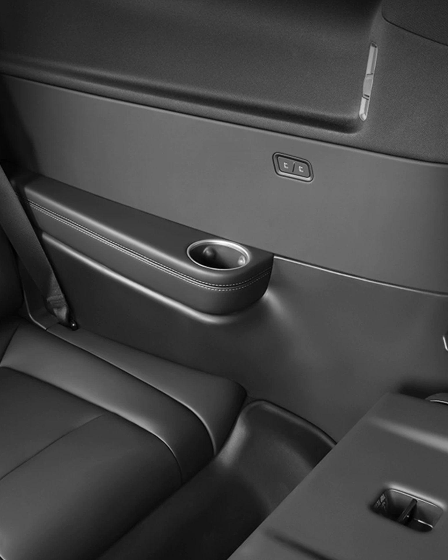 3 Rd-row & Trunk Side Guard for Model YL