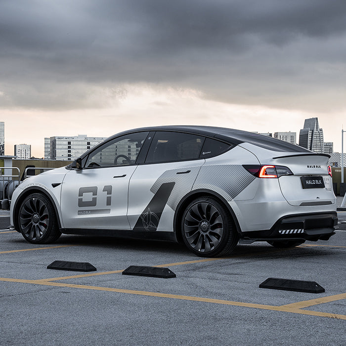 Dry Carbon Fiber Rear Spoiler for Tesla Model Y