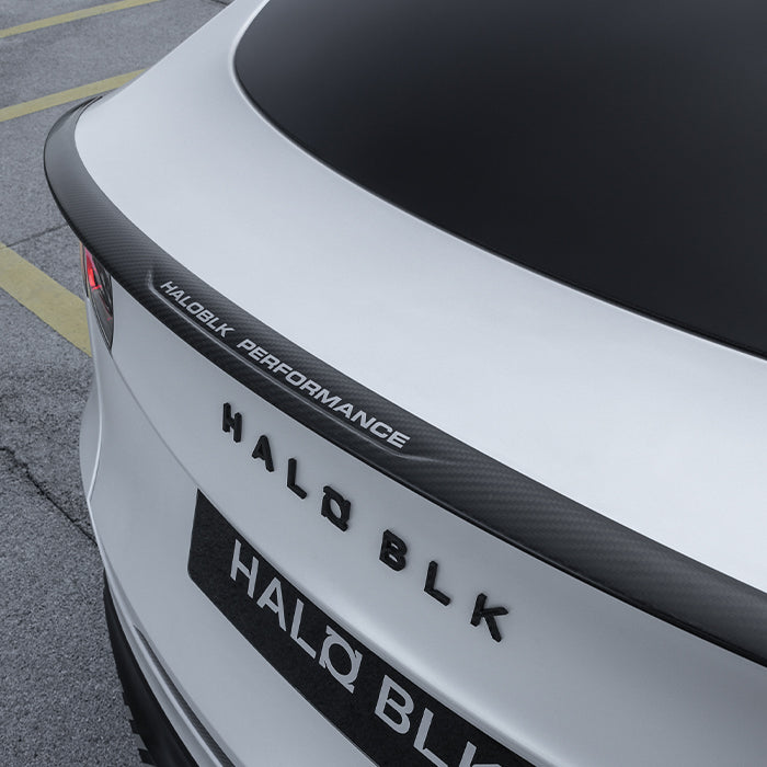 Dry Carbon Fiber Rear Spoiler for Tesla Model Y